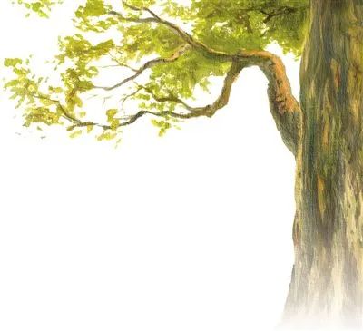 �Ř� ���˸�����ı��o