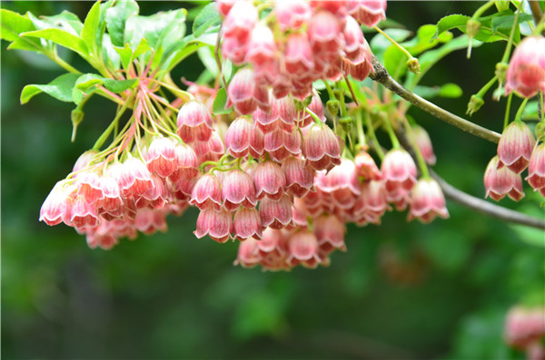 ����ʡ���_�����׶���ɲľ��x�����ع�����...