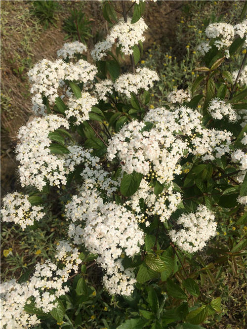 �Ř���ľ���o����l��