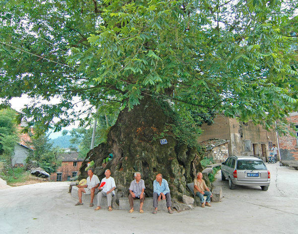 �Ř��ճ����o(h��)