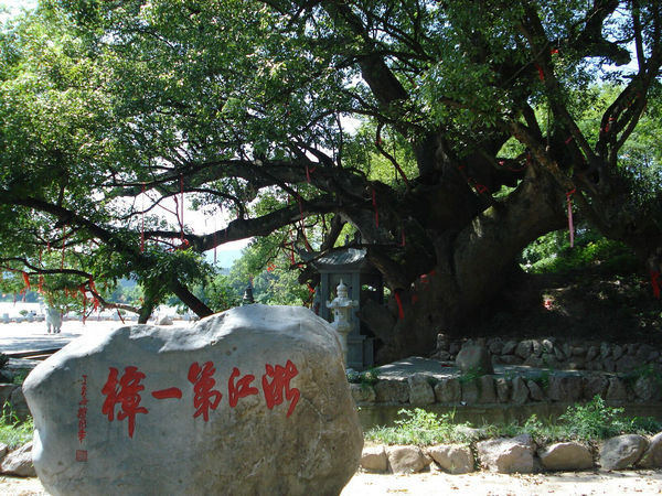 �Ř���ľ�ճ��B(y��ng)�o(h��)�c����